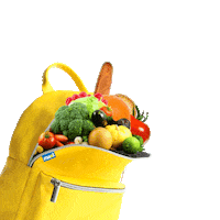 Food School Sticker by Maxi