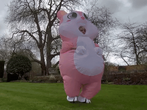 toyahandrobert giphyupload happy dance dancing GIF