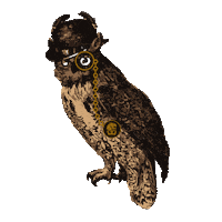 celebration wink Sticker by Royal Salute