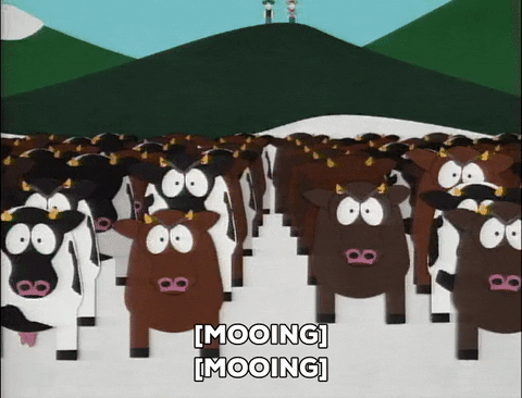 GIF by South Park 
