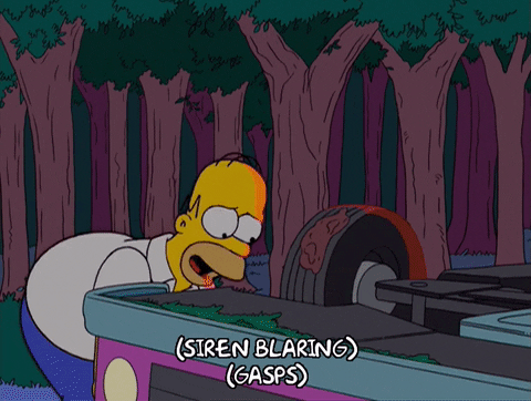 homer simpson GIF