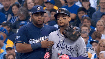 colorado rockies sport GIF by MLB
