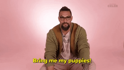 Jason Momoa Puppies GIF by BuzzFeed