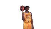 Liga Endesa Basketball Sticker by ACB