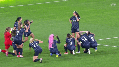 Washingtonspirit GIF by National Women's Soccer League