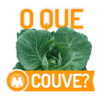 trocadilho Sticker by Supermercados Mundial