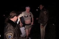 Reno 911 GIF by Alissandra