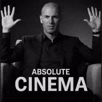 Zinedine Zidane GIF