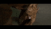 marvel avengers GIF