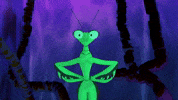 Praying Mantis Bug GIF