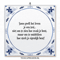 Test Humor GIF by Tegelspreuken.nl