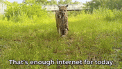 Im Out Too Much GIF by U.S. Fish and Wildlife Service