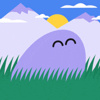 Solana GIF by Phantom