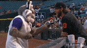 beard baxter GIF by MLB