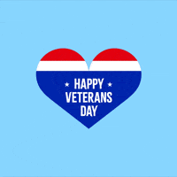 Air Force Usa GIF by Jessica Lau