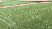 pit GIF by MLB