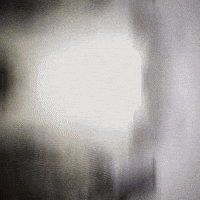 Cat GIF