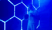 Xaviermbb GIF by Xavier Men's Basketball