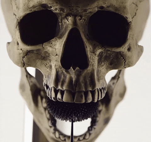 Skull Skeleton GIF by GASLAMPKILLER