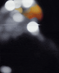 Kartal GIF by Rexbet