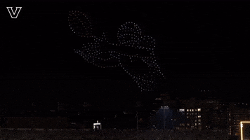 Sport Celebrate GIF by Vanderbilt Athletics