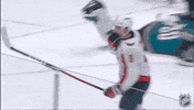 Happy Washington Capitals GIF by NHL
