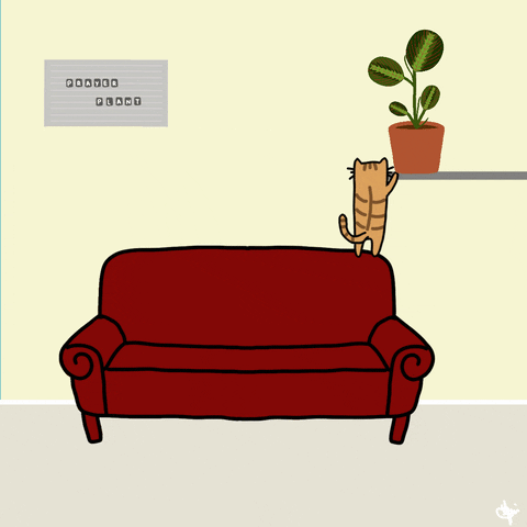 projectspetite giphyupload cat plant indoor plant GIF