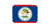 emojivid emoji flag emojivid belize Sticker