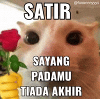 Fanny4 fanny4 satir kucing beri bunga GIF