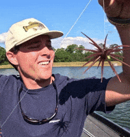 Bass Fishing Urchin GIF