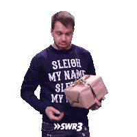 Merry Xmas Wtf Sticker by SWR3