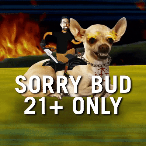 DSSOLVR giphyupload dog horse sorry GIF