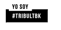 shopLTBK shopltbk tribultbk letthembekidss yosoytribu Sticker