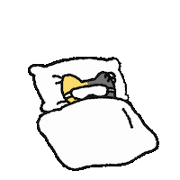 Cat Sleep Sticker