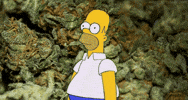 homer simpson simpsons GIF