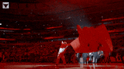 Benny The Bull Sport GIF by Chicago Bulls