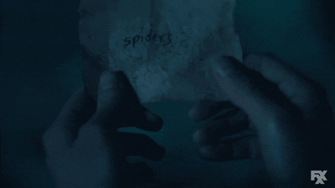 Lil Dicky Spiders GIF by DAVE
