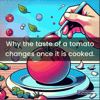 Food Chemistry GIF by ExplainingWhy.com
