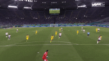 A Fine Save!