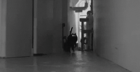 creep GIF