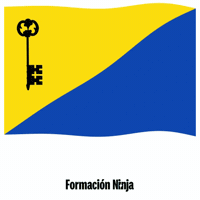 Bandera Granada GIF by Formación Ninja