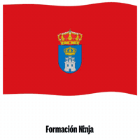 Comunidad De Madrid Bandera GIF by Formación Ninja