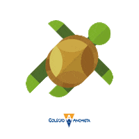 Tartaruga Sticker by Colégio Anchieta