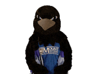 nova scotia college Sticker by Mount Saint Vincent University