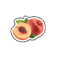 San Antonio Fruit Sticker by Extremo Wines