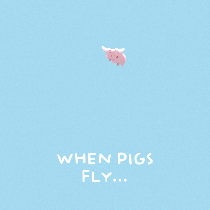 Flying Pig GIF by PositivelyPigasus