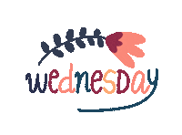 Wednesday Sabinaalcaraz Sticker