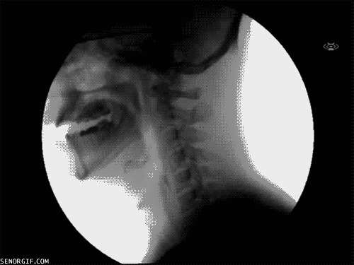 x ray drinking GIF by Cheezburger
