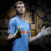 France Goalkeeper GIF by Leeds United