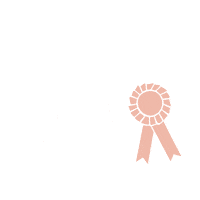Winner Ribbon Sticker